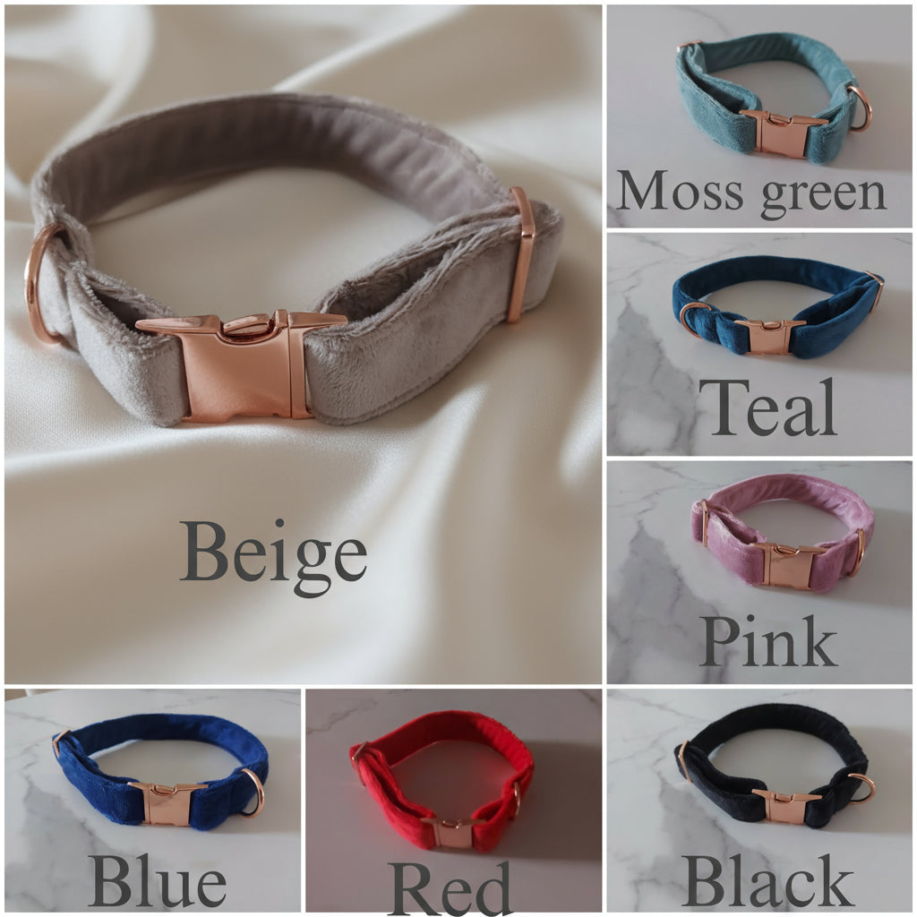Handmade PET Collars